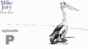 Five minute pelican drawing - episode P - Animal alphabet challenge
